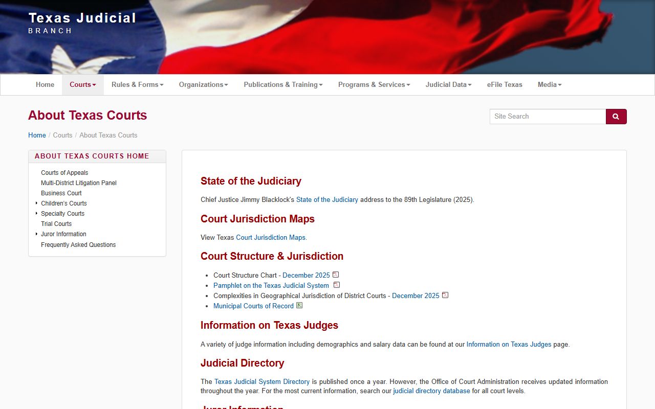 Texas 24 hour booking courts website